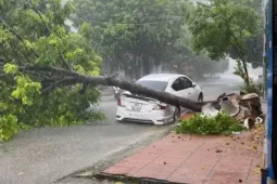 Tin tức trong ngày - VIDEO: Cây bật gốc, gãy đổ la liệt trên phố ở Thanh Hóa do bão số 5