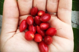 Tin tức sức khỏe - Mất ngủ, trằn trọc khó ngủ, tỉnh giấc giữa đêm: Làm đúng 1 bước này là ngủ liền một mạch
