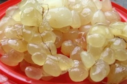 Tin tức sức khỏe - Mẹ chồng nằm liệt lở loét da hoại tử: Con dâu làm điều này khiến ai ai cũng bất ngờ