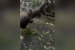 Thế giới - Trung Quốc: Bão số 5 quét qua đảo Hải Nam, hơn 100.000 người bị ảnh hưởng