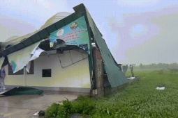 Tin tức trong ngày - Sân Pickleball tiền tỷ giữa cánh đồng ở Hà Tĩnh bị gió bão giật đổ sập