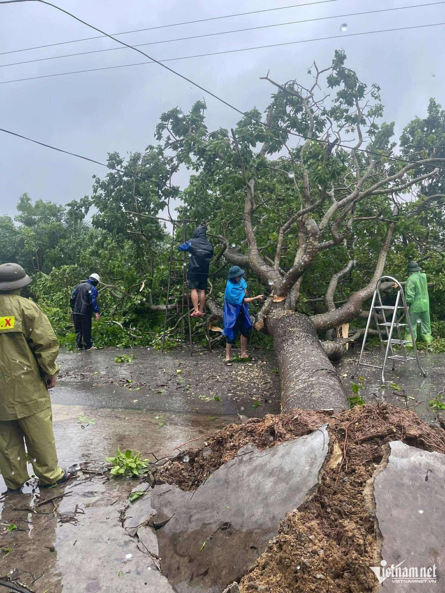 Bão số 5 suy yếu thành áp thấp nhiệt đới, hiện trường tan hoang sau bão - 16