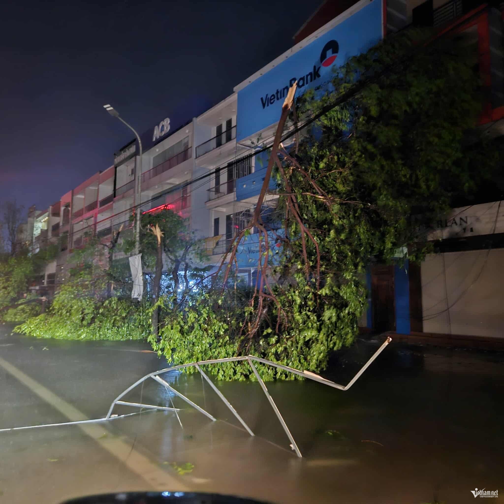 Ảnh: Trần Nghị