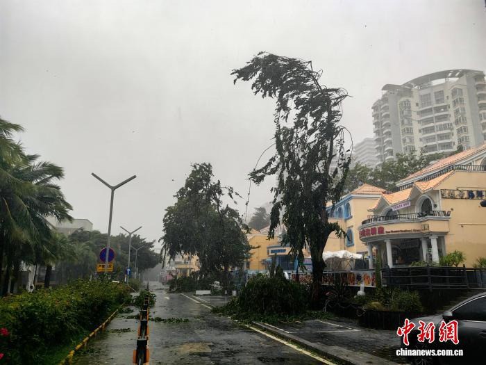Nhiều cây cối bị gãy đổ do gió giật mạnh ở đảo Hải Nam. Ảnh: CNS