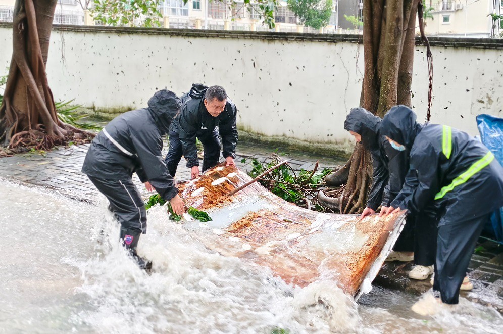 Loạt ảnh người dân thành phố Tam Á dọn dẹp sau khi bão số 5 quét qua. Ảnh: China Daily