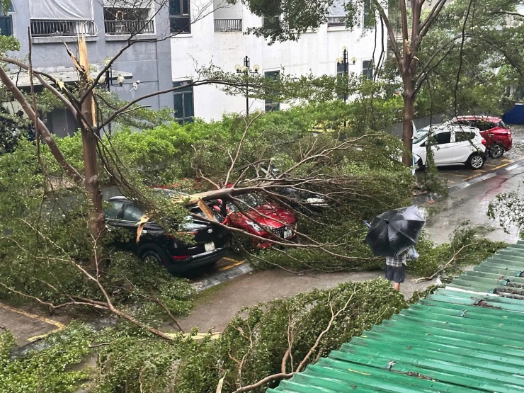 Cây xanh gãy đổ đè lên các phương tiện.