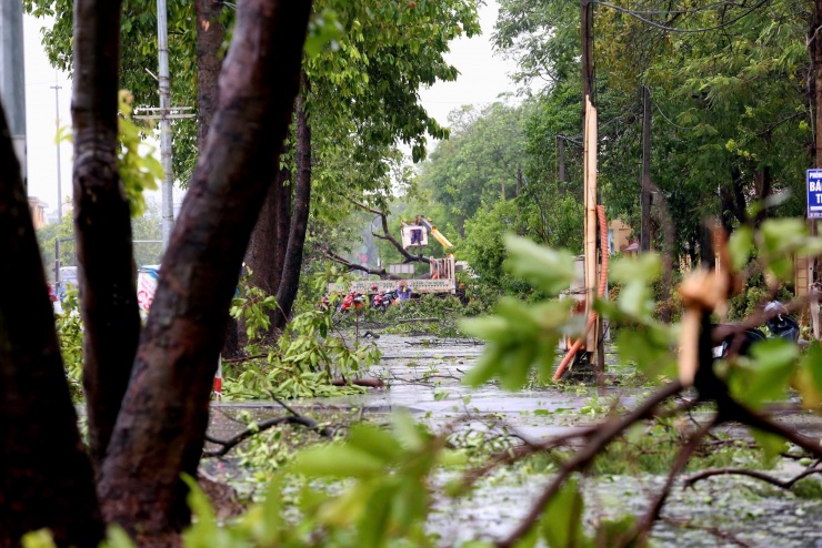 Hàng cây cổ thụ nghiêng, đổ gãy trên tuyến phố Trường Thi.