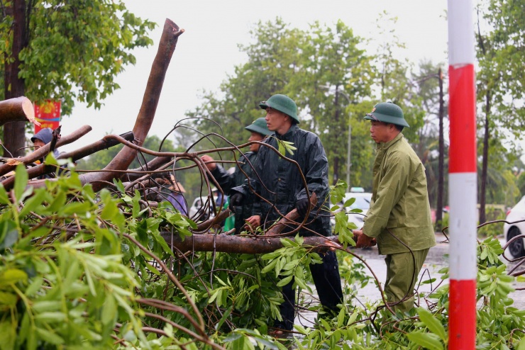 Lực lượng Biên phòng Nghệ An dọn dẹp cây gãy đổ.