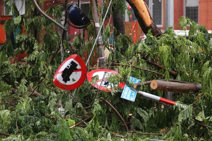 Biển hiệu giao thông gãy đổ sau bão.