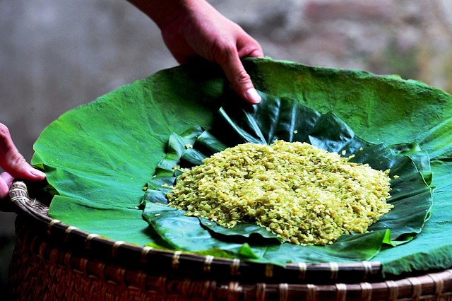 Cốm Làng Vòng được làm từ nếp non, trải qua quy trình chế biến thủ công đầy tỉ mỉ.