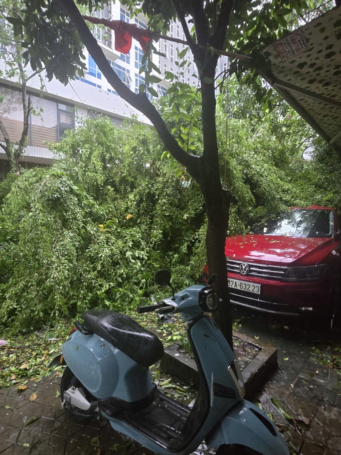 Cây cối đổ gãy ở phường Thành Vinh, Nghệ An, khiến việc giao thông bị cản trở. Ảnh: NVCC