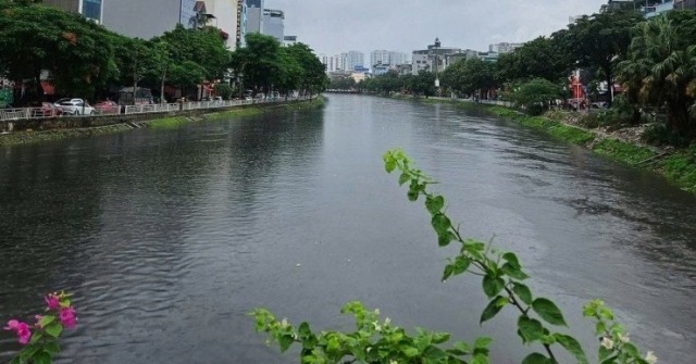 Nước sông Tô Lịch dâng cao, dòng chảy xanh mướt...