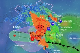 Tin tức trong ngày - Dị thường như bão số 5