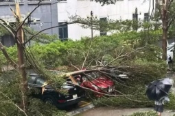 Dị thường: Bão số 5 chỉ 3 ngày đã đổ bộ, 12 giờ càn quét đất liền