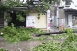 Ngổn ngang sau khi bão số 5 quần thảo nhiều giờ