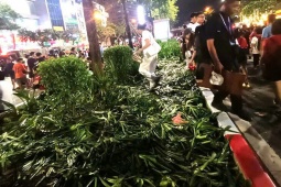 Tin tức trong ngày - Vụ dân giẫm nát cây khi xem tổng hợp luyện: GĐ trung tâm thuộc Sở Xây dựng nói gì?