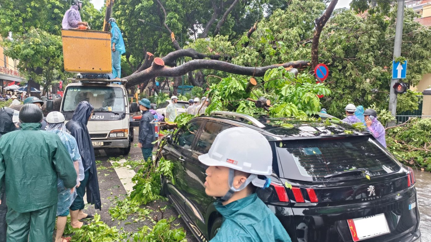 Khoảnh khắc cây xà cừ cổ thụ bật gốc đè bẹp ô tô trên đường Trần Phú - 7