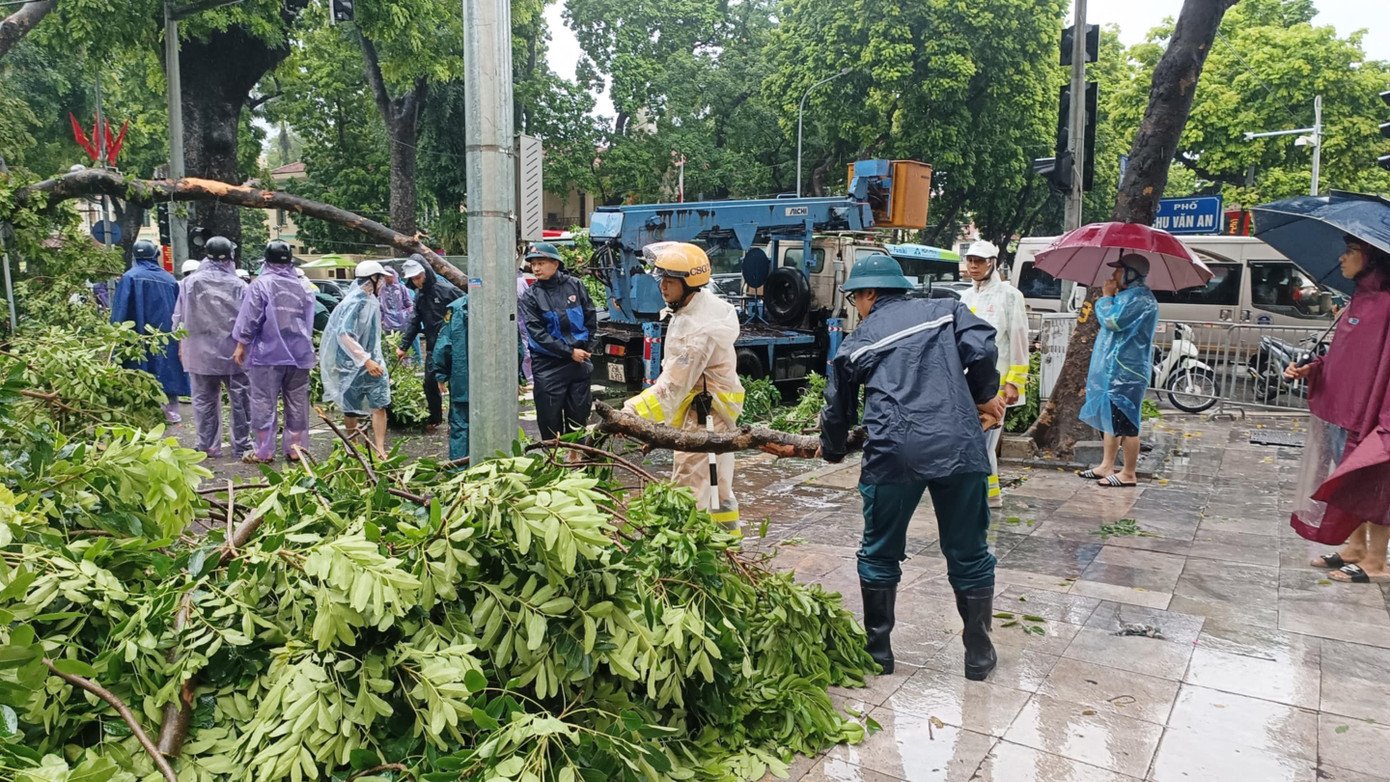 Khoảnh khắc cây xà cừ cổ thụ bật gốc đè bẹp ô tô trên đường Trần Phú - 10
