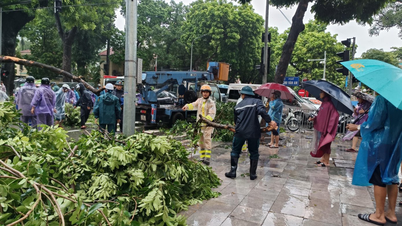 Khoảnh khắc cây xà cừ cổ thụ bật gốc đè bẹp ô tô trên đường Trần Phú - 11