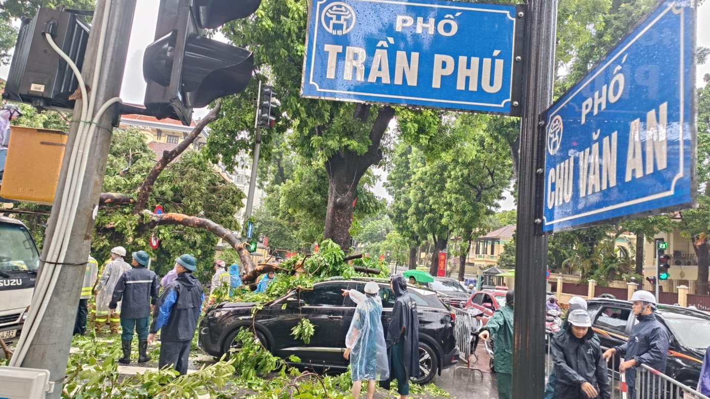 Khoảnh khắc cây xà cừ cổ thụ bật gốc đè bẹp ô tô trên đường Trần Phú - 13