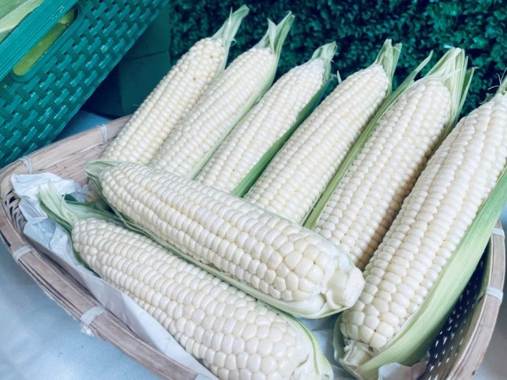 Trồng “ngọc” giữa đồng, nông dân hốt bạc, bán giá cao mấy vẫn “cháy hàng” - 4