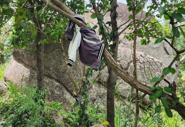 Chiếc áo khoác và thắt lưng buộc trên cành cây