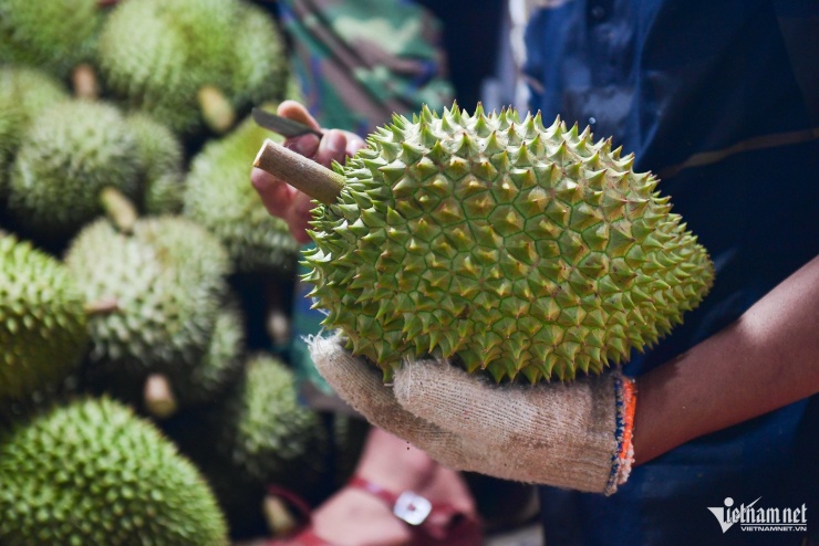 Nhiều cửa hàng trái cây online ở Hà Nội rao bán sầu riêng với giá siêu rẻ. Ảnh: Nguyễn Huế