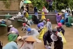 Tin tức trong ngày - Nữ chủ trại nói sự thật về thông tin cả chục người nhảy xuống bể 'hôi của' cá tầm