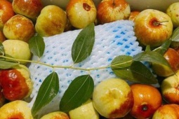 Hồng táo đang bán nhiều ở chợ Việt được ví 'thuốc bổ tự nhiên': Nên ăn hồng táo tươi hay khô mới tốt cho sức khỏe?