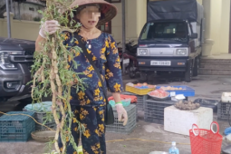 Thị trường - Tiêu dùng - Rau xanh Hà Nội tăng giá gấp đôi vì ảnh hưởng bão số 5