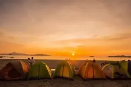 Cắm trại đêm trên Cù Lao Chàm có gì hấp dẫn khiến du khách “mê mẩn”?