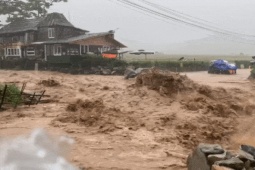 Tin tức trong ngày - Xót xa trước thiệt hại nặng nề tại nhiều địa phương do bão số 5