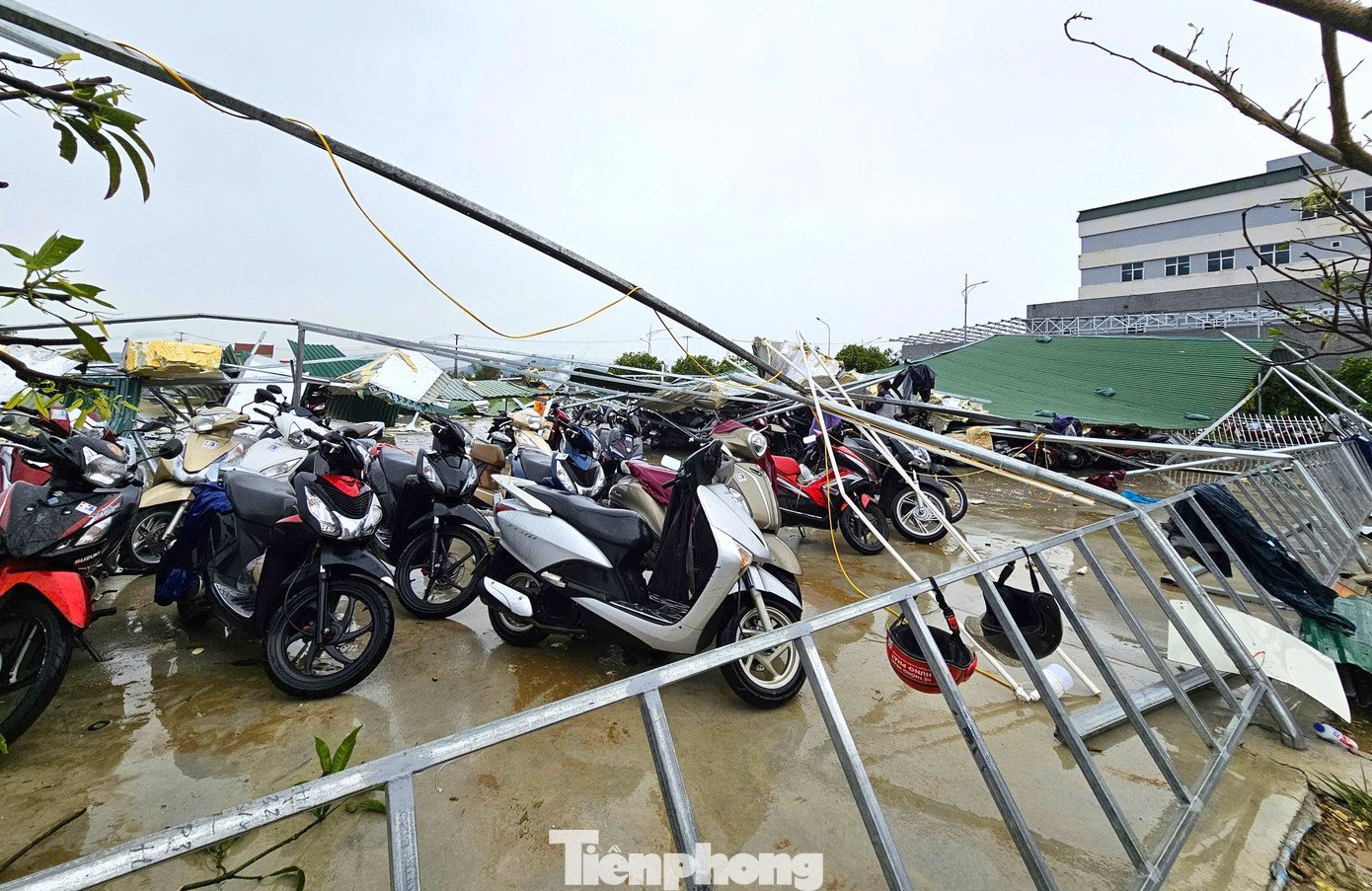 Nhiều bệnh viện ở Nghệ An tan hoang sau bão - 7