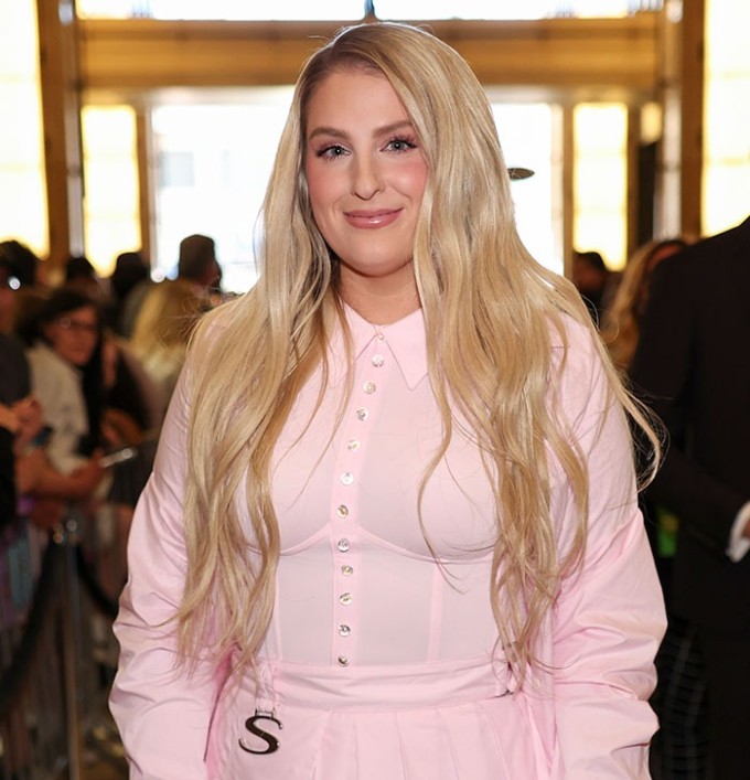 Từ khi nổi tiếng, Meghan Trainor vốn ghi dấu trong lòng khán giả với vẻ ngoài mũm mĩm, đầy đặn.