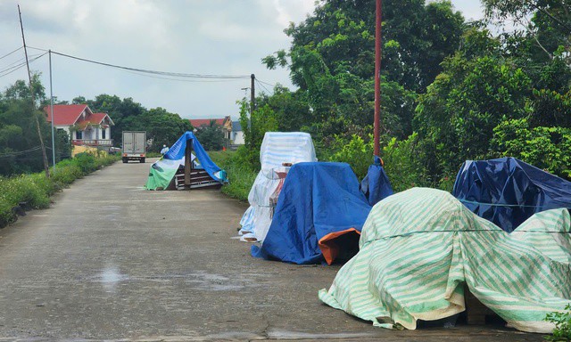 Đồ đạc chuyển lên đê tránh lũ.