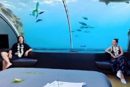 Kinh doanh - Danh hài Việt chi hàng trăm triệu cho 1 đêm “ngủ dưới lòng biển”, ở biệt thự 300 tỷ, ai cũng ao ước