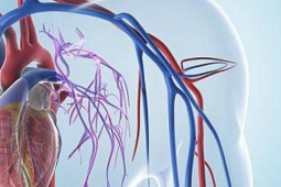 6 thói quen buổi sáng khiến tim ‘kêu cứu’ – bạn có đang mắc phải?