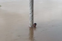Người quay video giải thích việc hỏi nhiều, không cứu ngay bé ôm cột giữa dòng lũ