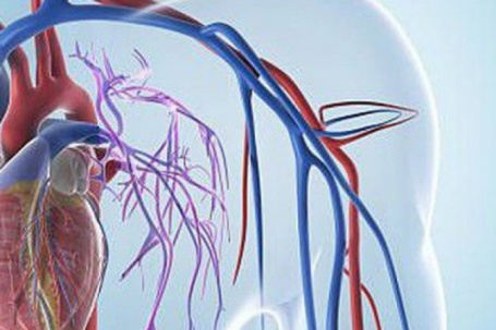 6 thói quen buổi sáng khiến tim ‘kêu cứu’ – bạn có đang mắc phải?