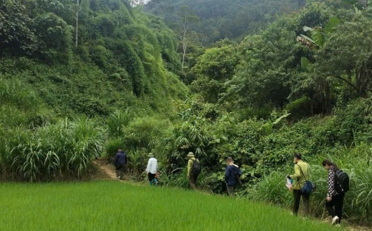 Giải mã thông tin sói rừng trở lại - Bài 2: Những cuộc truy lùng bất thành - 4