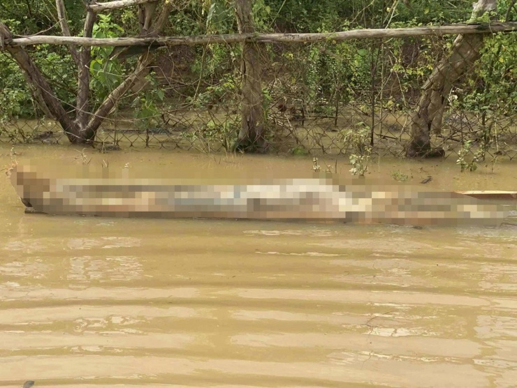 Thi thể thứ 3 được phát hiện trôi dạt gần chiếc hòm có dòng chữ nước ngoài hôm 28/8 trên lòng hồ thủy điện Hủa Na.