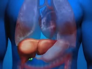 5 dấu hiệu tổn thương gan người huyết áp cao dễ bỏ qua