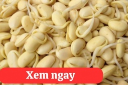 Tin tức sức khỏe - “Tái sinh” khớp gối với 2 món ăn được người xưa ví là “thần dược” phục hồi xương khớp