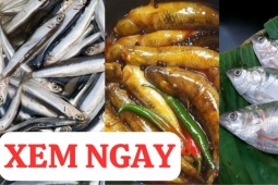 Tin tức sức khỏe - 3 loại cá cực giàu canxi, tốt cho xương khớp