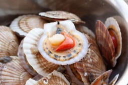 Ẩm thực - 6 loại hải sản tươi ngon, bổ dưỡng rất hợp chiêu đãi gia đình dịp nghỉ lễ