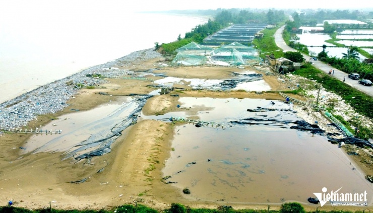 Nhiều diện tích ao nuôi tôm của người dân xã Hoằng Thanh bị thiệt hại do bão số 5. Ảnh: Lê Dương