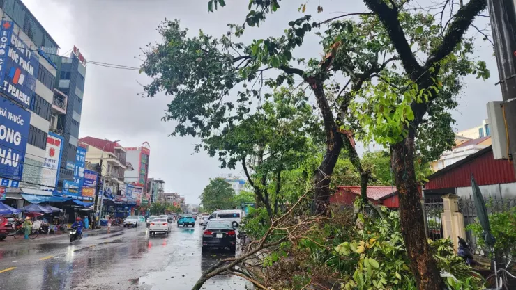 Một cây lớn ở trước cổng Bệnh viện Đa khoa tỉnh Hà Tĩnh bị gió xé gãy. Ảnh: MINH TRƯỜNG.