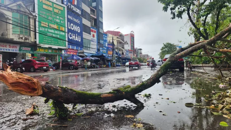 Cành cây chắn ngang đường. Ảnh: MINH TRƯỜNG.