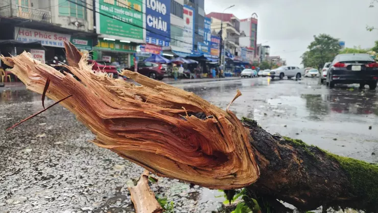 Nhánh cây lớn rơi xuống lòng đường, rất may không gây thiệt hại về người và tài sản. Ảnh: MINH TRƯỜNG.