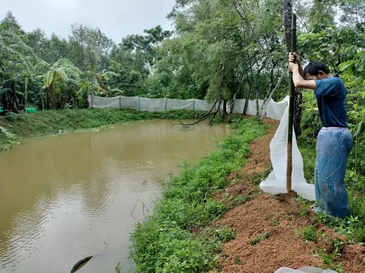 Một số hộ gia đình đã bắt đầu rào chắn hồ cá để tránh thiệt hại do mưa ngập trong bão số 6. Ảnh: MINH TRƯỜNG.